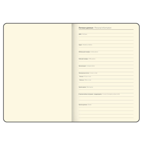 Блокнот в наборе с ручкой А5, 145х213 мм, BRAUBERG "Cork", под кожу, ЭКО обложка, 80 листов, черный, 116865 - фото 8