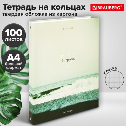 Тетрадь на кольцах БОЛЬШАЯ А4, 215х305 мм, 100 л., твердый картон, клетка, BRAUBERG, "Nature", 405411 - фото 8