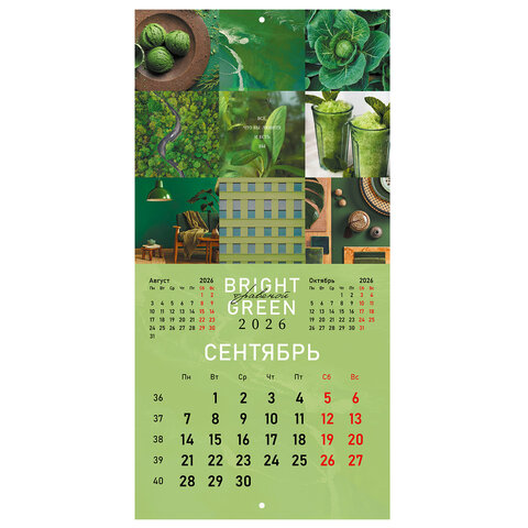 Календарь настенный перекидной 2026 г., BRAUBERG, 12 листов, 28,5х28,5 см, "Color set", 116936 - фото 12