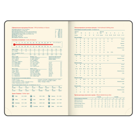 Ежедневник датированный 2026 B6 125х173 мм, GALANT "Vivid", под кожу, серый, 117410 - фото 8