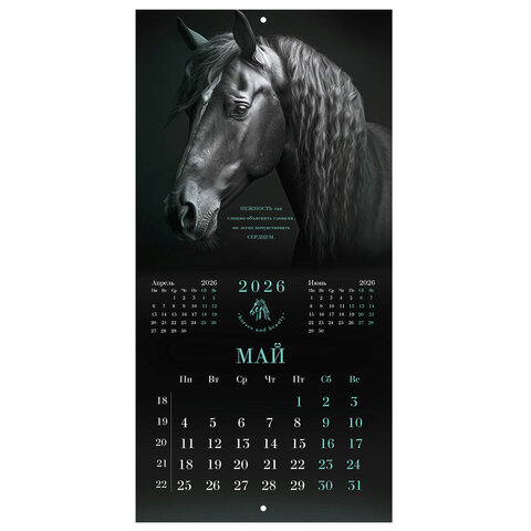 Календарь настенный перекидной 2026 г., BRAUBERG, 12 листов, 28,5х28,5 см, "Символ года", 116928 - фото 8