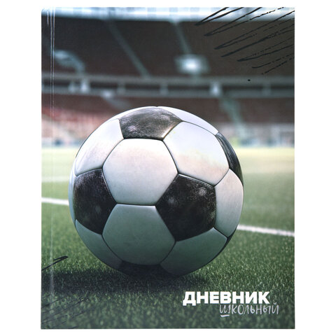 Дневник 1-4 класс 48 л., твердый, ЮНЛАНДИЯ, глянцевая ламинация, с подсказом, "Футбол", 107583 - фото 1