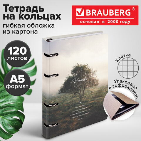 Тетрадь на кольцах А5 160х212 мм, 120 листов, картон, матовая ламинация, клетка, BRAUBERG, "Nature", 404728 - фото 11