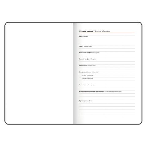 Еженедельник датированный 2026, А5, 145х215 мм, BRAUBERG "Select", балакрон, темно-синий, 117181 - фото 6