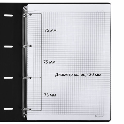 Тетрадь на кольцах БОЛЬШАЯ А4 (240х310 мм), 120 л., под кожу, BRAUBERG VISTA, Black, 404512 - фото 3