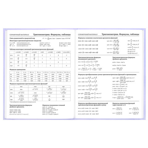 Дневник 5-11 класс 48 л., твердый, BRAUBERG, матовая ламинация, с подсказом, "Классика", 107610 - фото 11