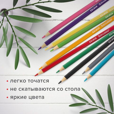 Карандаши цветные мягкие BRAUBERG АКАДЕМИЯ, 36 цветов, шестигранные, грифель 3 мм, натуральное дерево, 181867 - фото 11