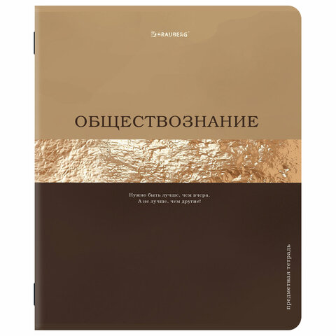 Тетради предметные, КОМПЛЕКТ 12 ПРЕДМЕТОВ, 48 л., матовая ламинация, фольга, BRAUBERG "GOLDY", 405178 - фото 9