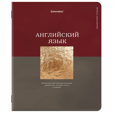 Тетради предметные, КОМПЛЕКТ 12 ПРЕДМЕТОВ, 48 л., матовая ламинация, фольга, BRAUBERG "GOLDY", 405178 - фото 15