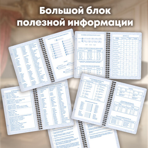 Дневник для музыкальной школы 48 листов, гребень, пластиковая обложка, картон, BRAUBERG, "МИКС", 107519 - фото 26