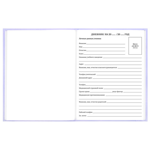 Дневник 5-11 класс 48 л., твердый, BRAUBERG, матовая ламинация, с подсказом, "Классика", 107610 - фото 5