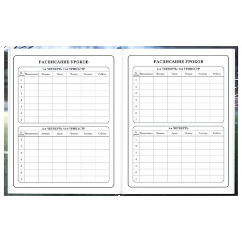 Дневник 1-4 класс 48 л., твердый, ЮНЛАНДИЯ, глянцевая ламинация, с подсказом, "Футбол", 107583 - фото 8