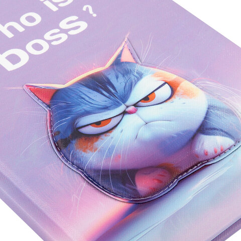 Дневник 1-11 класс 48 л., обложка кожзам (твердая с поролон), 3D-элемент, BRAUBERG, "Суровый кот", 107221 - фото 3