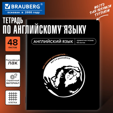 Тетрадь предметная МЕМЫ 48 л., TWIN-лак, АНГЛИЙСКИЙ ЯЗЫК, клетка, подсказки, BRAUBERG, 405098 - фото 5