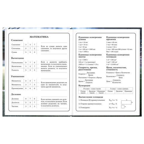 Дневник 1-4 класс 48 л., твердый, ЮНЛАНДИЯ, глянцевая ламинация, с подсказом, "Футбол", 107583 - фото 14