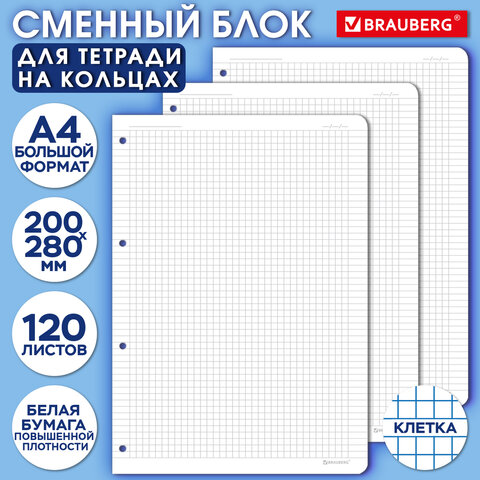 Сменный блок для тетради на кольцах БОЛЬШОЙ ФОРМАТ А4 120 л., BRAUBERG, ПОВЫШЕННОЙ ПЛОТНОСТИ, белый, 404516 - фото 5
