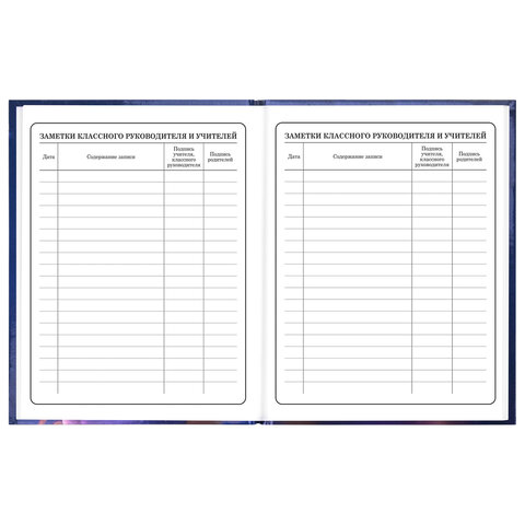 Дневник 1-4 класс 48 л., твердый, ЮНЛАНДИЯ, глянцевая ламинация, с подсказом, "Принцесса", 107582 - фото 17