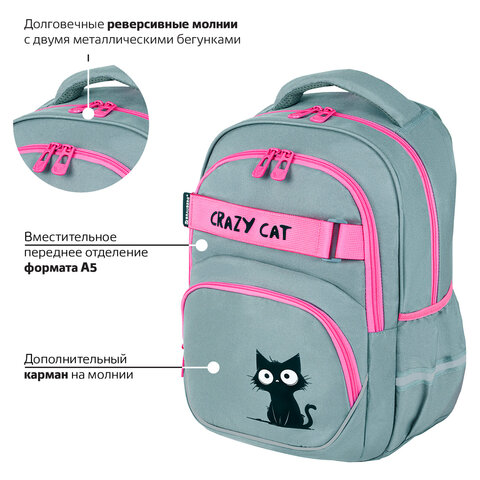 Рюкзак BRAUBERG MOTION, 2 отделения, 3 кармана, "Crazy cat", 41х28х17 см, 273115 - фото 14
