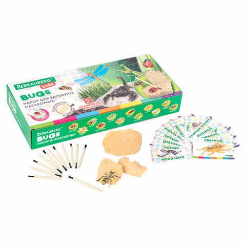 Набор для раскопок "Насекомые", 12 видов, карточки, инструменты, BRAUBERG KIDS, 665127 - фото 1