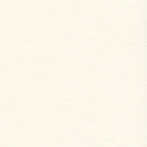 Скетчбук, слоновая кость 100 г/м2, 210х297 мм, 110 л., книжный твердый переплет, BRAUBERG ART CLASSIC, 128957 - фото 5