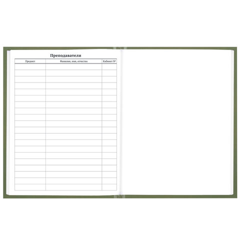 Дневник 1-11 класс 40 л., твердый, BRAUBERG, глянцевая ламинация, "Однотонный", 107607 - фото 10