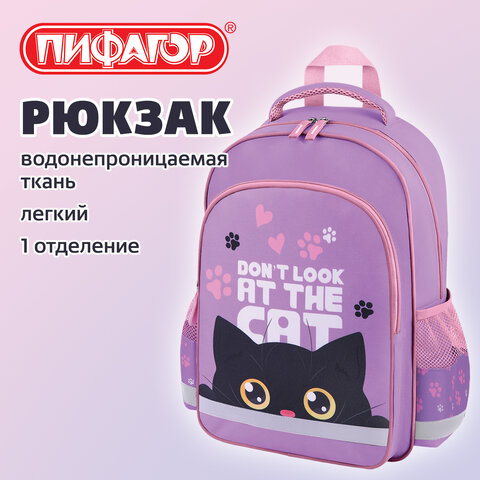 Рюкзак ПИФАГОР SCHOOL, 1 отделение, 3 кармана, "Наблюдательный кот", 38x28х14 см, 274437 - фото 8