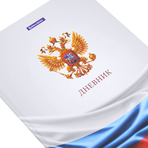 Дневник 1-11 класс 40 л., твердый, BRAUBERG, ламинация, цветная печать, "РОССИЙСКОГО ШКОЛЬНИКА-4", 107629 - фото 5
