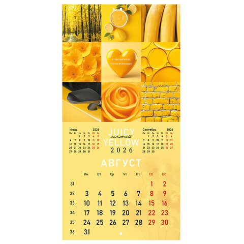 Календарь настенный перекидной 2026 г., BRAUBERG, 12 листов, 28,5х28,5 см, "Color set", 116936 - фото 11