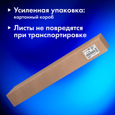 Бумага для акварели А1 (600х850 мм), КОМПЛЕКТ 5 листов, среднее зерно, 200 г/м2, ГОЗНАК, BRAUBERG ART CLASSIC, 114488 - фото 6