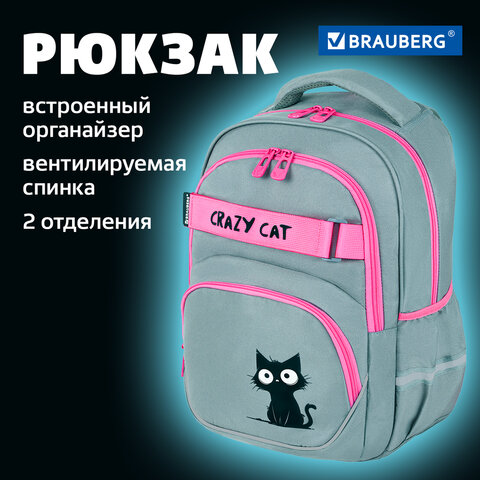 Рюкзак BRAUBERG MOTION, 2 отделения, 3 кармана, "Crazy cat", 41х28х17 см, 273115 - фото 9