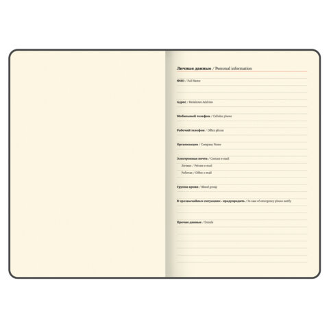 Еженедельник датированный 2026, БОЛЬШОЙ ФОРМАТ 210х297 мм, А4, BRAUBERG "Imperial", под кожу, коричневый, 117156 - фото 6