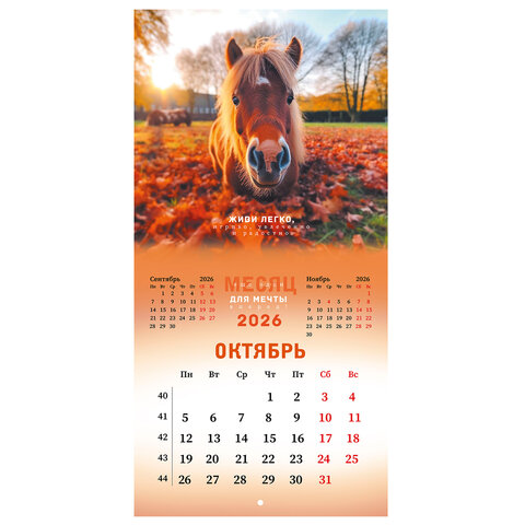 Календарь настенный перекидной 2026 г., BRAUBERG, 12 листов, 28,5х28,5 см, "Благородные лошади", 116932 - фото 13