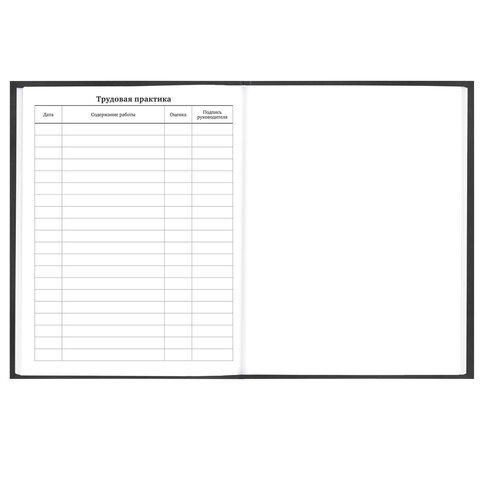 Дневник 5-11 класс 48 л., твердый, FUNSTER (ФАНСТЕР), выборочный лак, с подсказом, "Гусыня-балерина", 107615 - фото 16