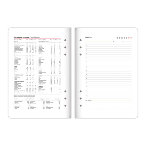 Ежедневник-органайзер недатированный B5 167х240 мм, BRAUBERG "Nova", под кожу, 160 л., голубой, 116201 - фото 12