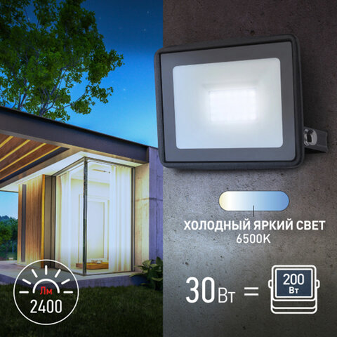 Прожектор светодиодный ЭРА, 30 (250) Вт, 6500 К, 2400 Лм, IP65, LPR-023-0-65K-030, Б0052023 - фото 5