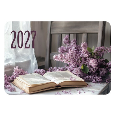 Календарь карманный на 2027 г, BRAUBERG, 64х93 мм, АССОРТИ, 20 дизайнов (60 штук), 118489 - фото 7