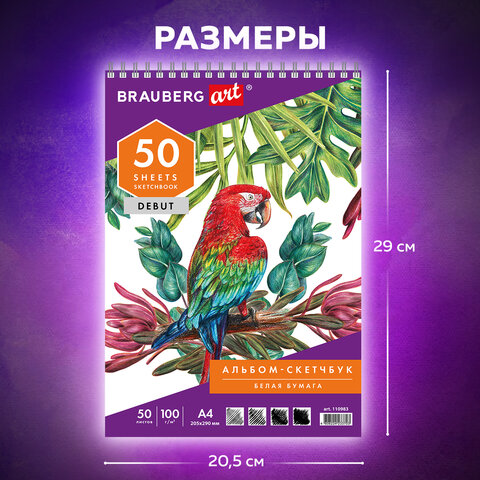 Скетчбук, белая бумага 100 г/м2, 205х290 мм, 50 л., гребень, жёсткая подложка, BRAUBERG ART DEBUT, 110983 - фото 9