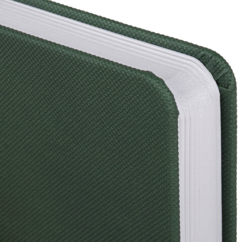 Ежедневник датированный 2026, А5, 138x213 мм, BRAUBERG "Control", под кожу, держатель для ручки, зеленый, 117123 - фото 3