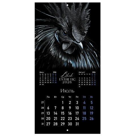 Календарь настенный перекидной 2026 г., BRAUBERG, 12 листов, 28,5х28,5 см, "Black esthetic", 116927 - фото 10
