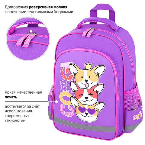 Рюкзак ПИФАГОР SCHOOL, 1 отделение, 3 кармана, "Corgi queen", 38x28х14 см, 272085 - фото 10
