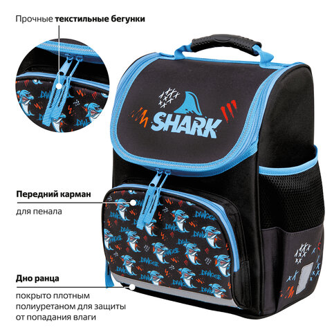 Ранец ПИФАГОР BASIC, 1 отделение, 3 кармана, эргономичная спинка, "Angry shark", 35х28х18 см, 272044 - фото 12