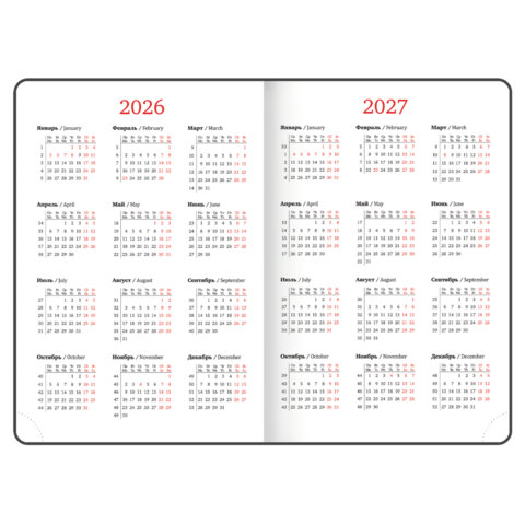 Ежедневник датированный 2026 БОЛЬШОЙ ФОРМАТ 210х297 мм, А4, BRAUBERG "Favorite", под кожу, бордо, 117240 - фото 7