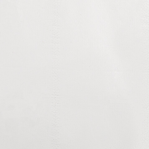 Салфетки косметические 200 шт. в упаковке, 2 слоя, 13,5х19 см, LAIMA PREMIUM UNIT PACK, 116357 - фото 6