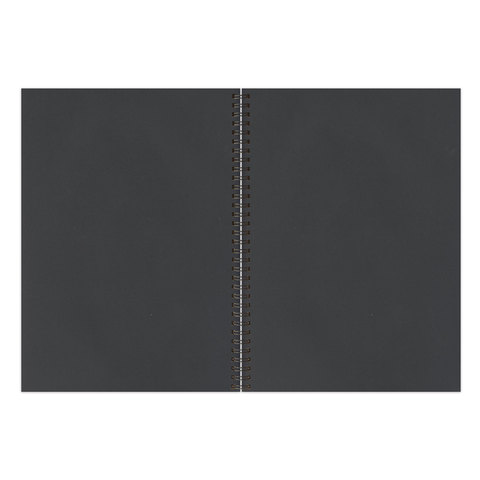 Скетчбук, черная бумага 120 г/м2, 148х210 мм, 32 л., гребень, BRAUBERG ART CLASSIC, 128952 - фото 4