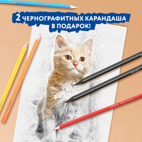 Карандаши цветные BRAUBERG PREMIUM 24 цвета + 2 чернографитных карандаша, трехгранные, грифель 3 мм, 181937 - фото 11