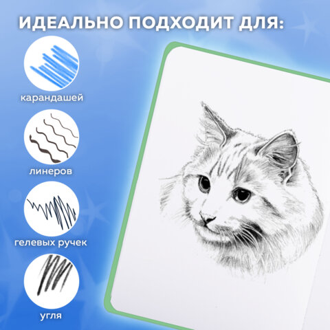 Скетчбук, белая бумага 80 г/м2, 145х203 мм, 80 л., резинка, твердый, FUNSTER (ФАНСТЕР), Гусь "Че смотришь?", 116891 - фото 5