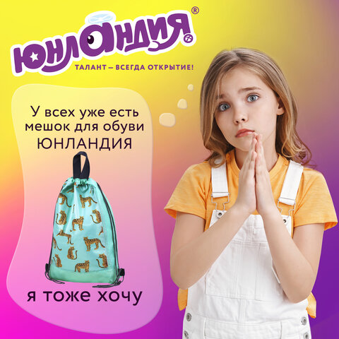 Мешок для обуви ЮНЛАНДИЯ, с ручками, боковой карман на молнии, 46х36 см, "Wild Cats", 271614 - фото 12