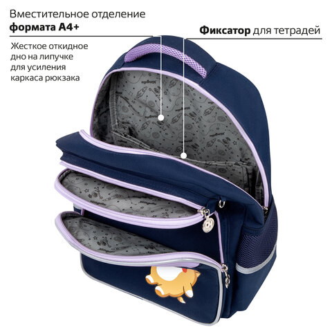 Рюкзак ЮНЛАНДИЯ COMPLETE, с пеналом в комплекте, эрго-спинка, "Bored cat", 42х29х14 см, 272055 - фото 16