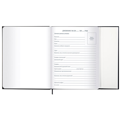 Дневник 1-11 класс 48 л., твердый, BRAUBERG, матовая ламинация, магнитный клапан, закладка-ляссе, с подсказом, "Дракон", 107245 - фото 9