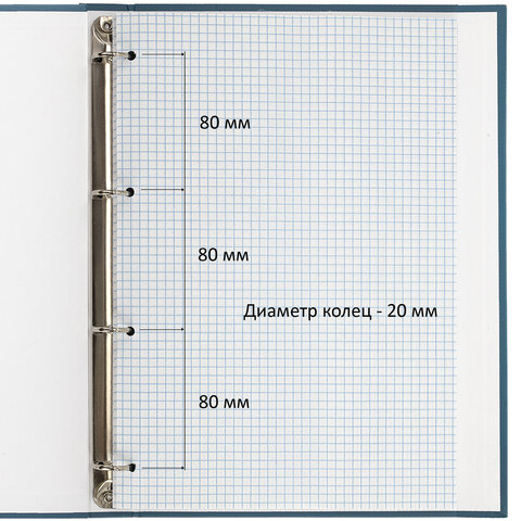 Тетрадь на кольцах БОЛЬШАЯ А4, 210х305 мм, 100 листов, твердый картон, клетка, BRAUBERG, "Shade", 404102 - фото 3
